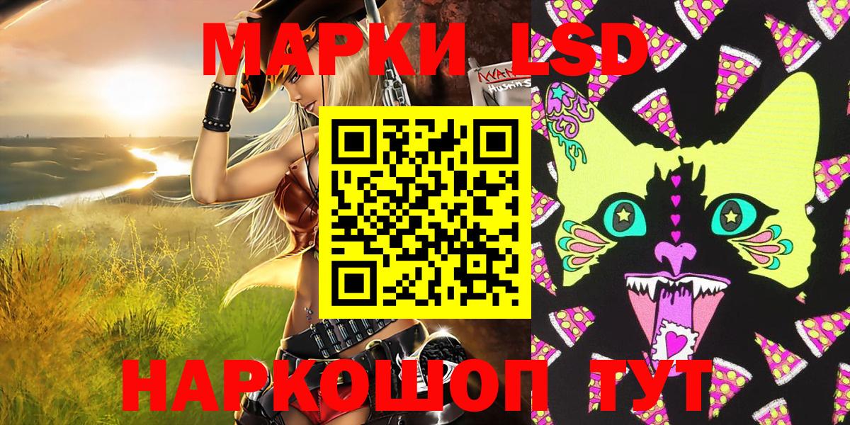 Прохладный  Наркотические марки  Вход с VPN  Марки NBOMe 1500мкг 